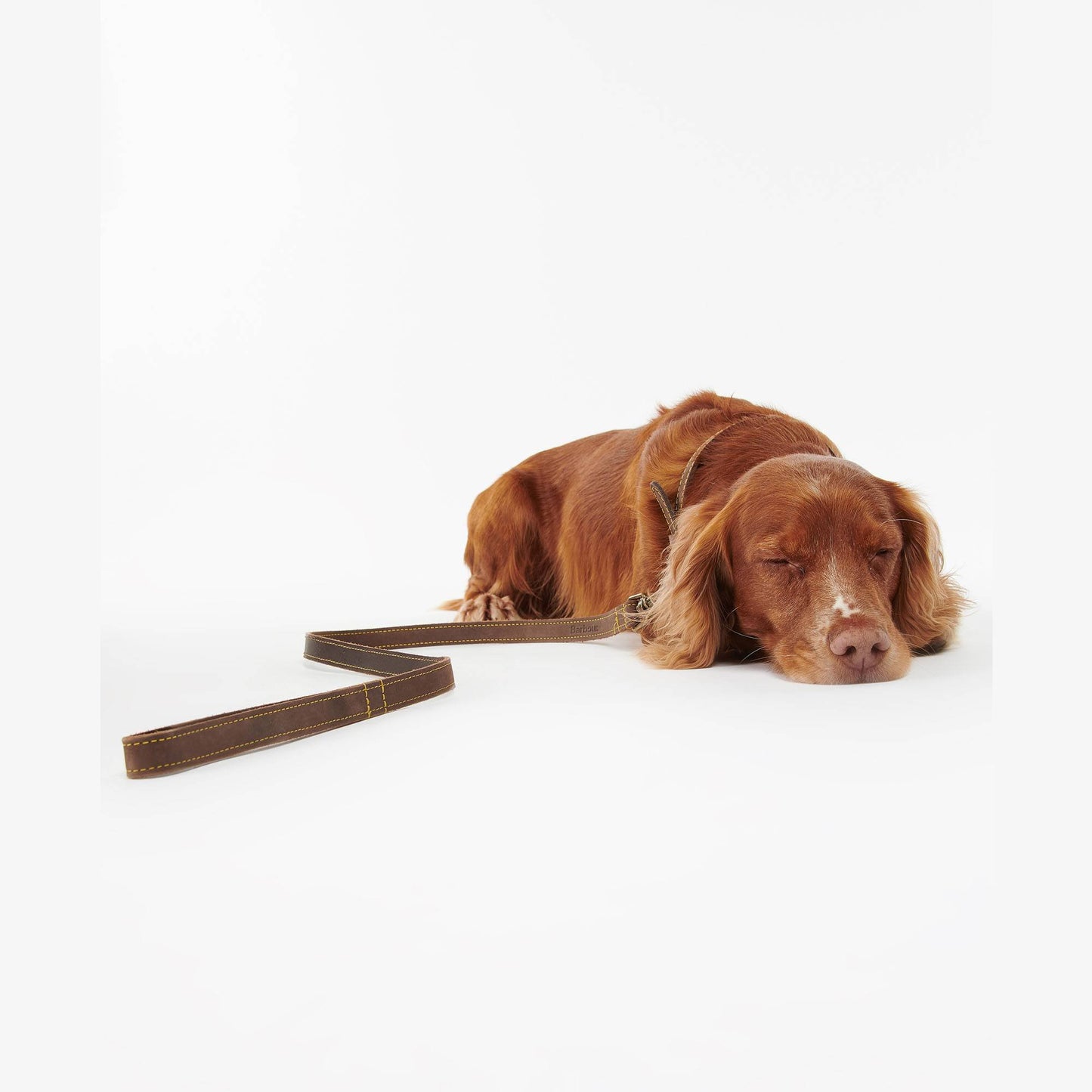Leather Dog Lead