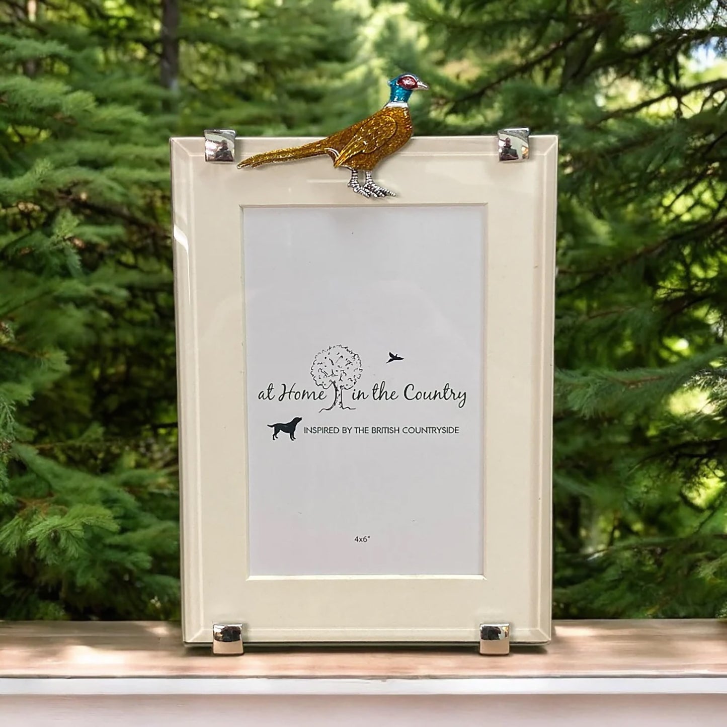 Rectangle Photo Frame