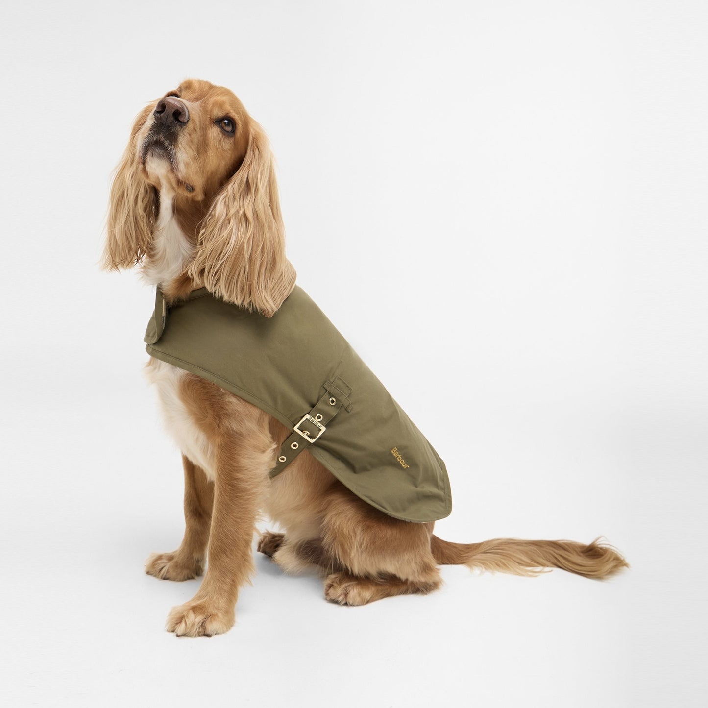 Transport Dog Coat