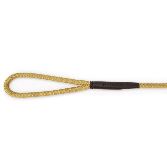 Charlie Nylon Dog Lead