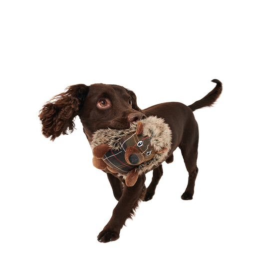 Hedgehog Dog Toy