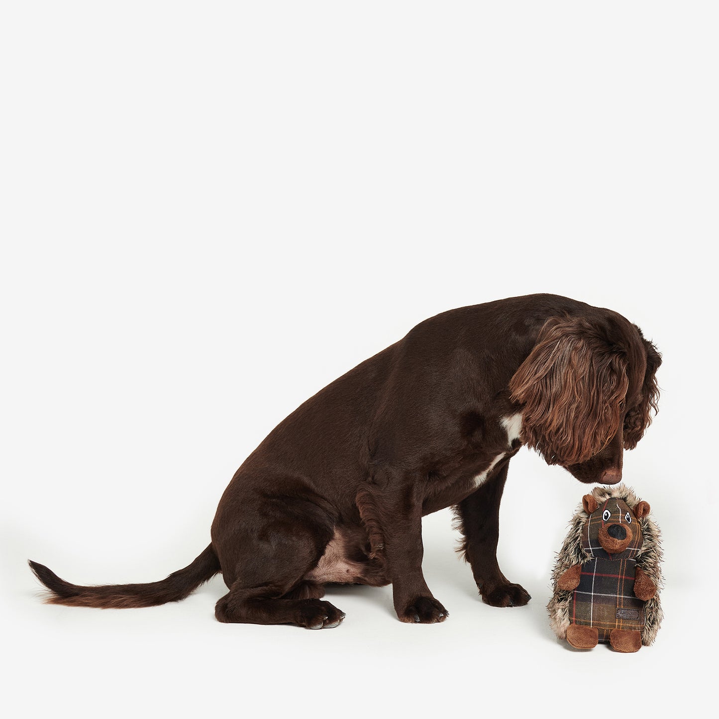 Hedgehog Dog Toy