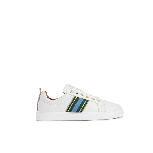 Boston Trainer