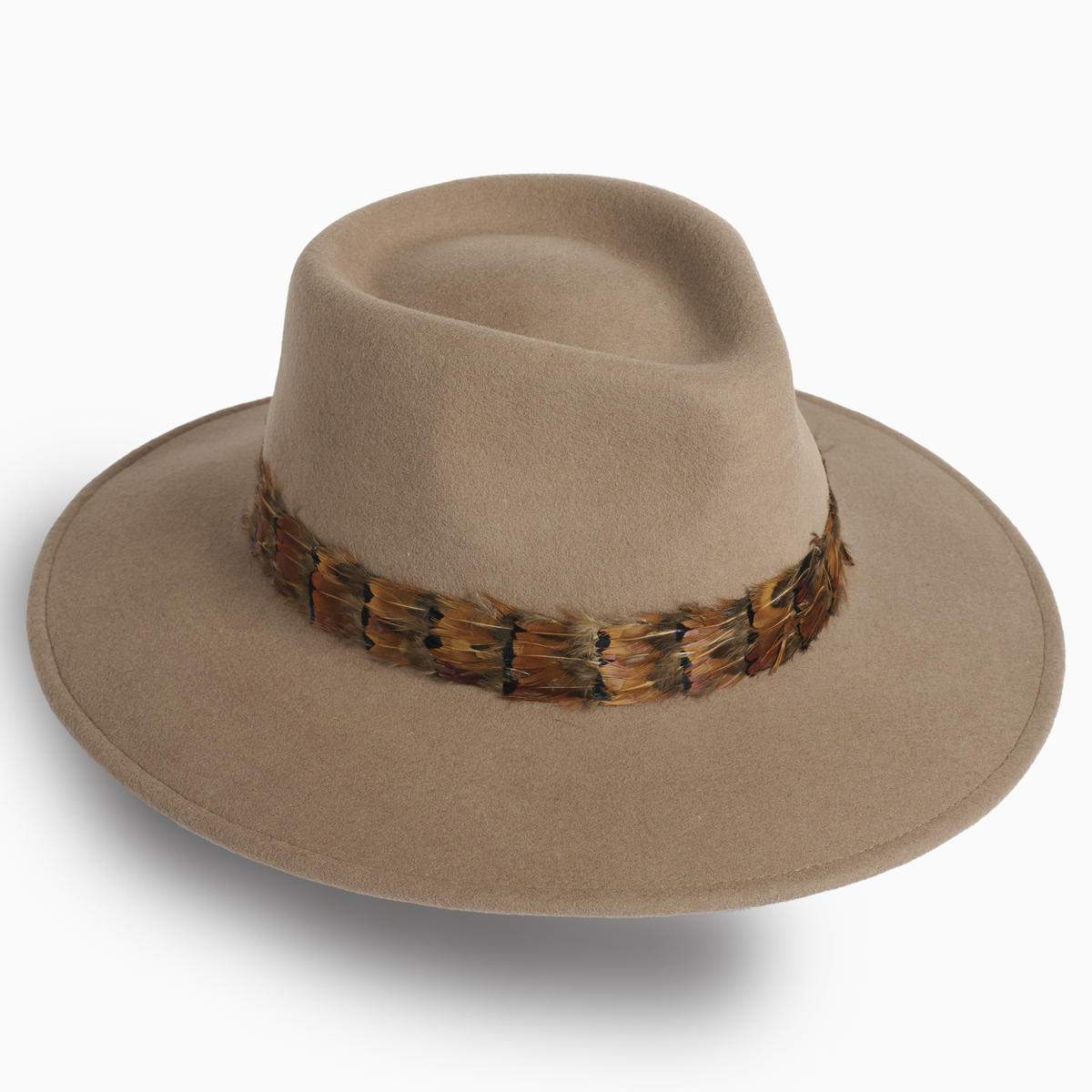 Feather Band Wool Fedora