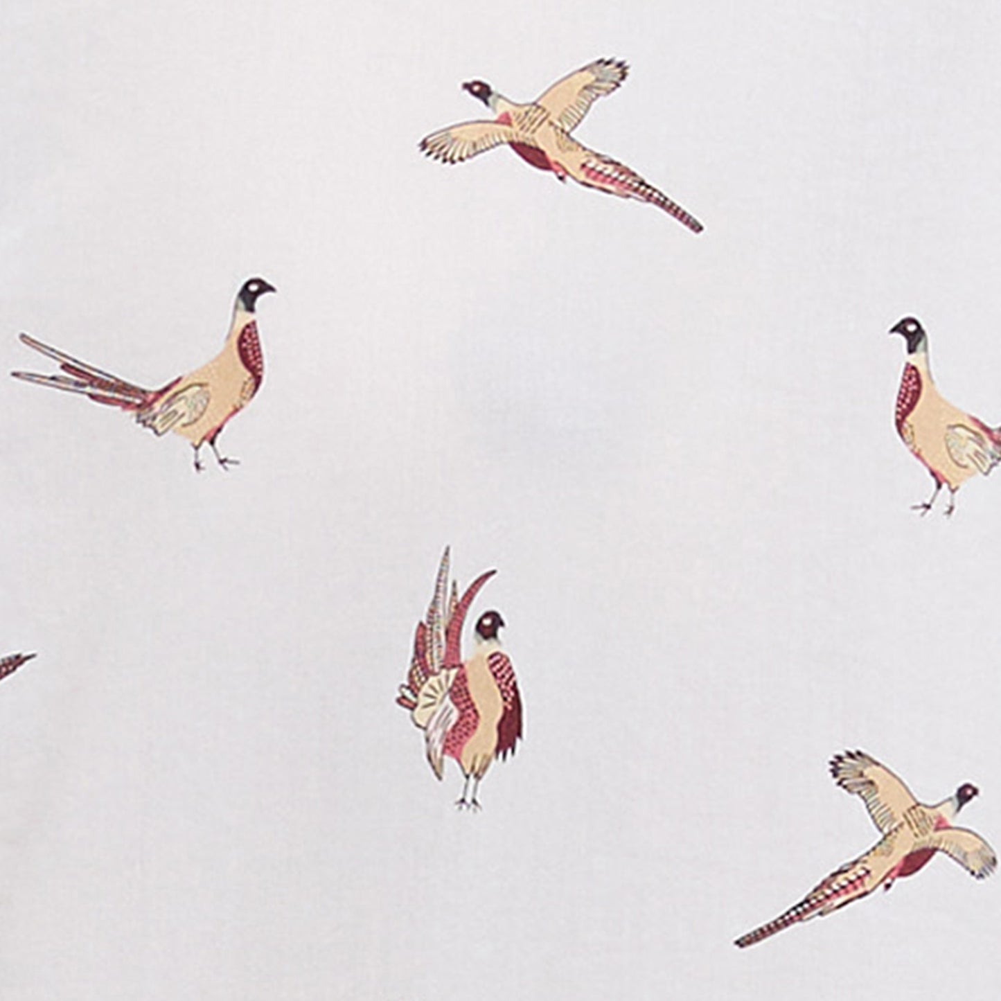 Safari Shirt