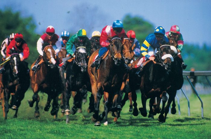Men's Cheltenham Outfits: What to Wear to the Races