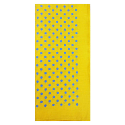 Medium Spots Hankie