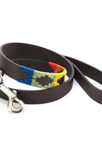 Dog Lead