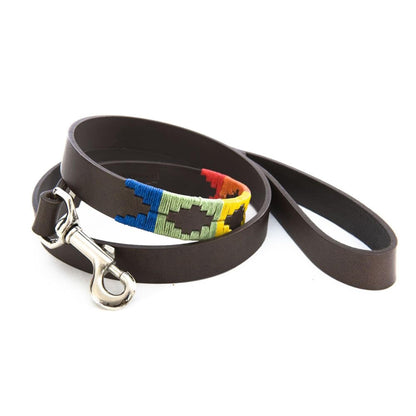 Dog Lead