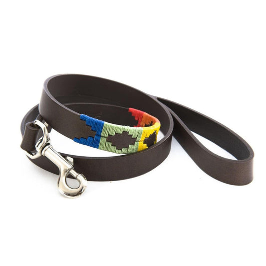 Dog Lead