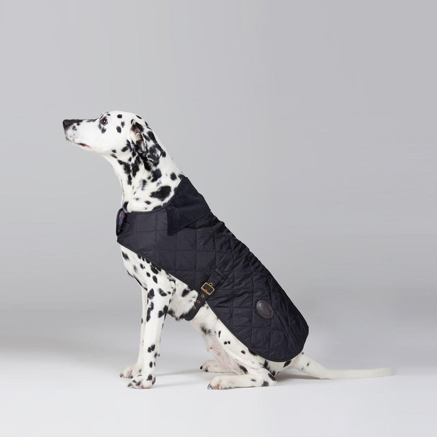 Dog Quilted Coat
