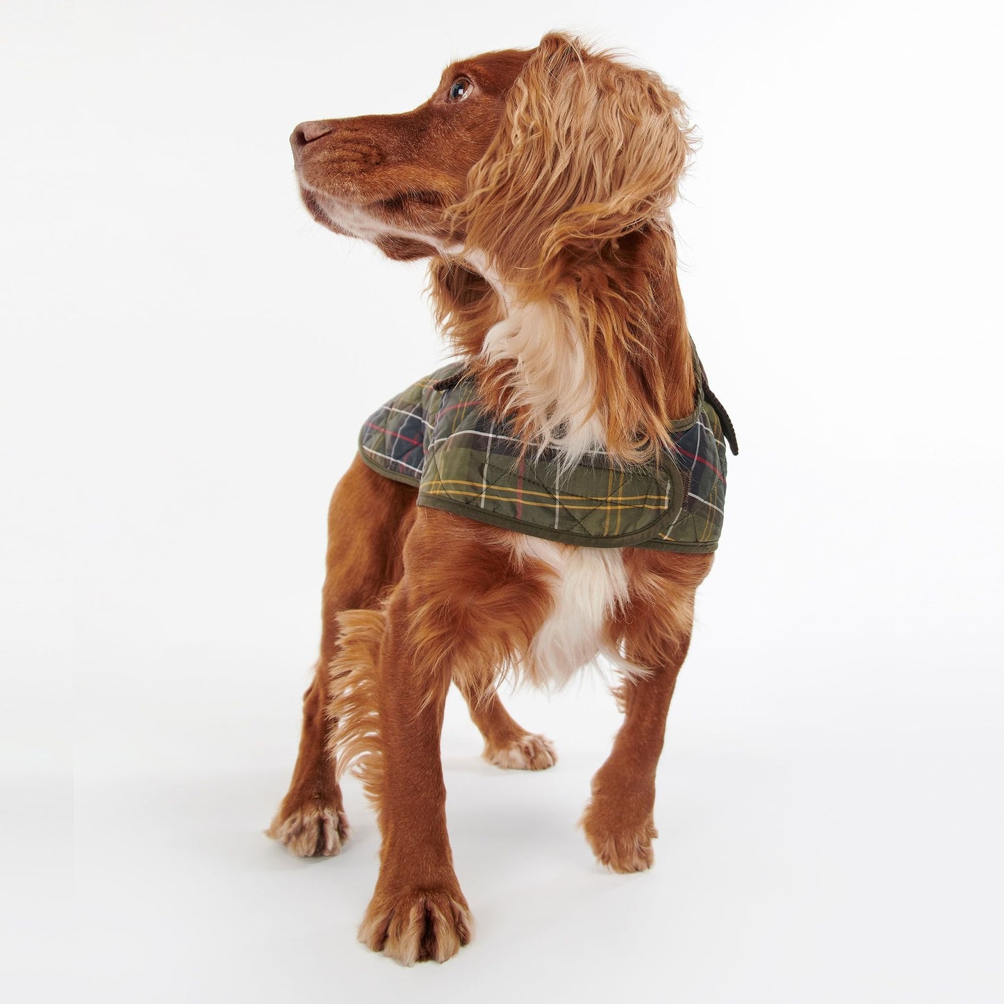 Tartan Dog Coat