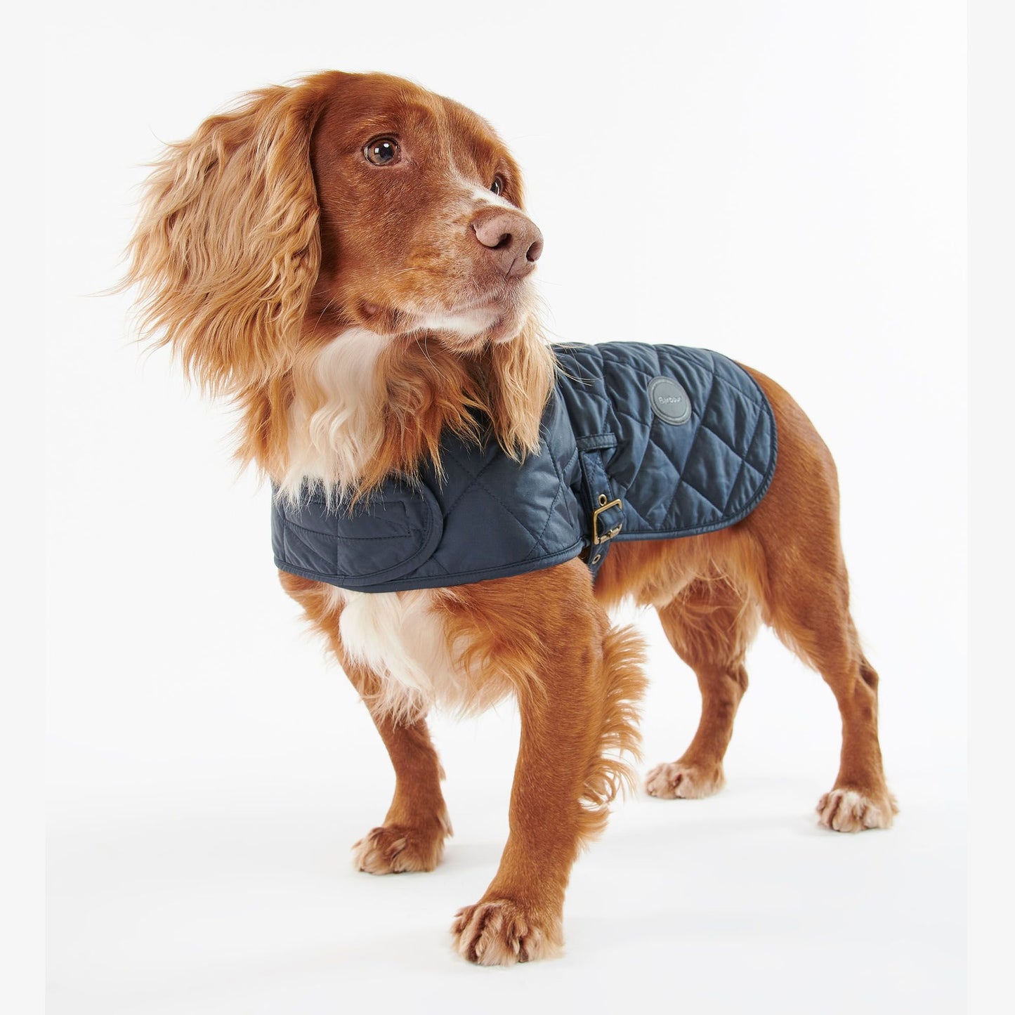 Dog Quilted Coat