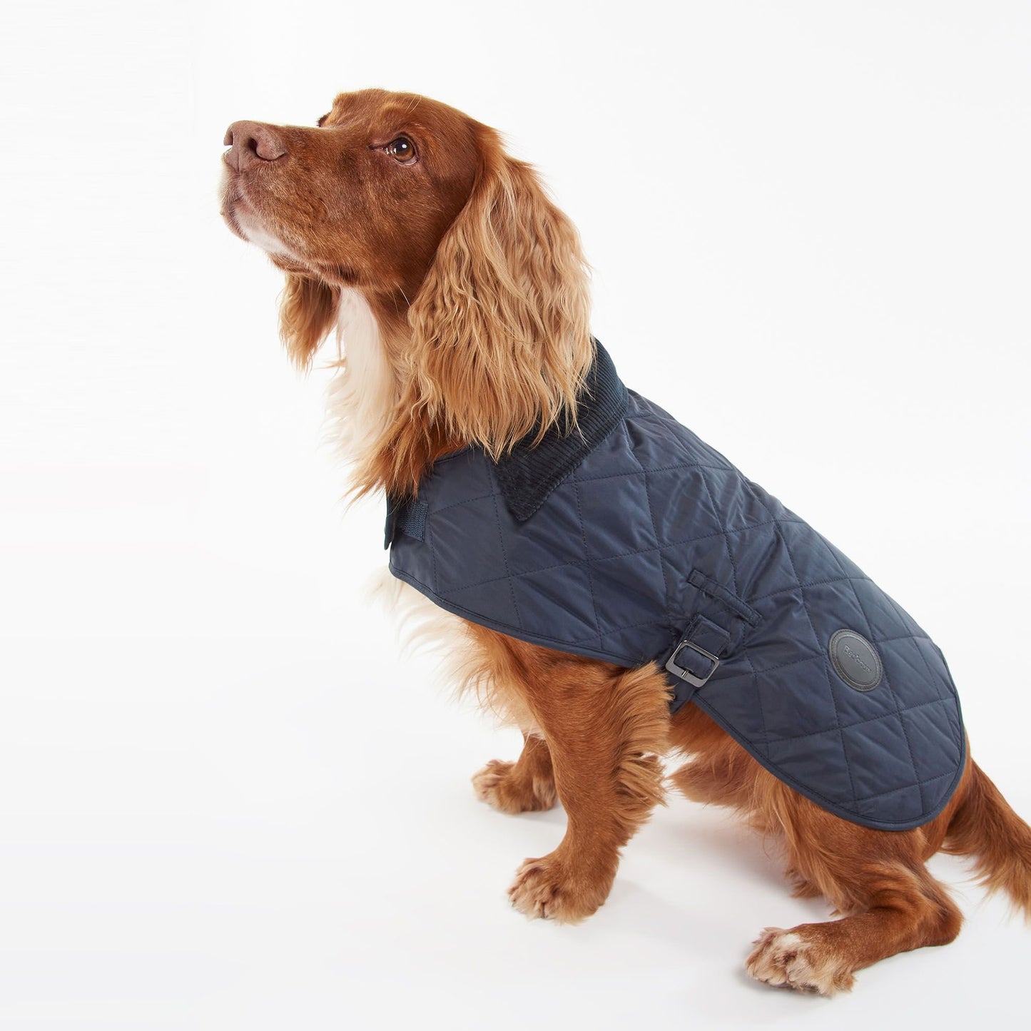 Dog Quilted Coat