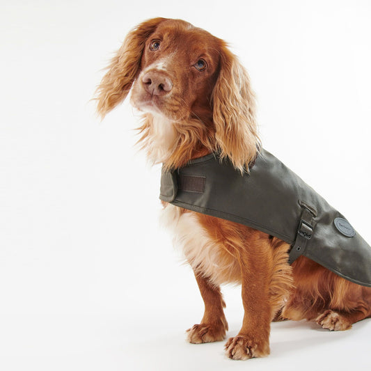 Wax Dog Coat