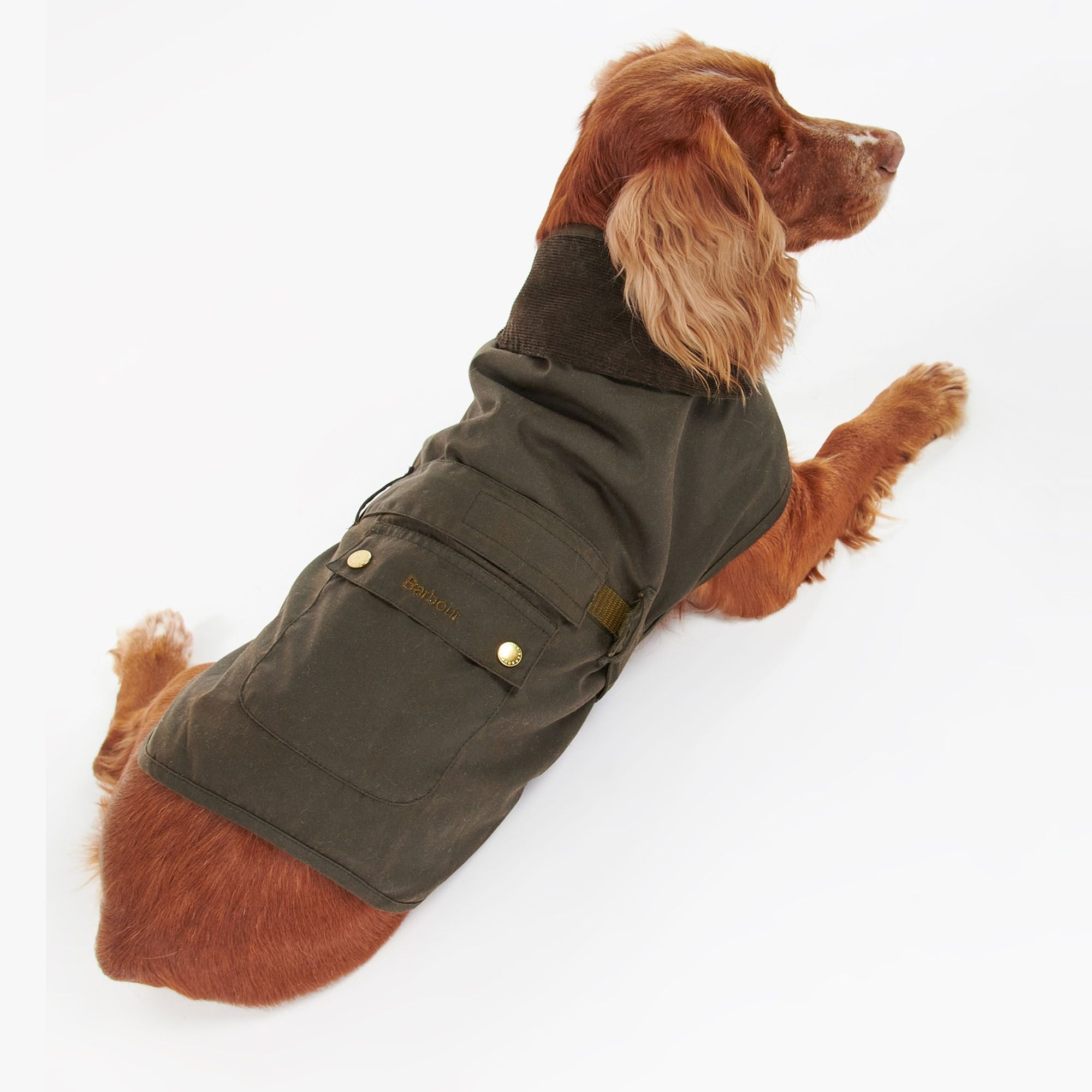 Barbour 2 in 1 Wax Dog Coat, Brocklehursts