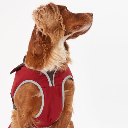 Monmouth Waterproof Dog Coat