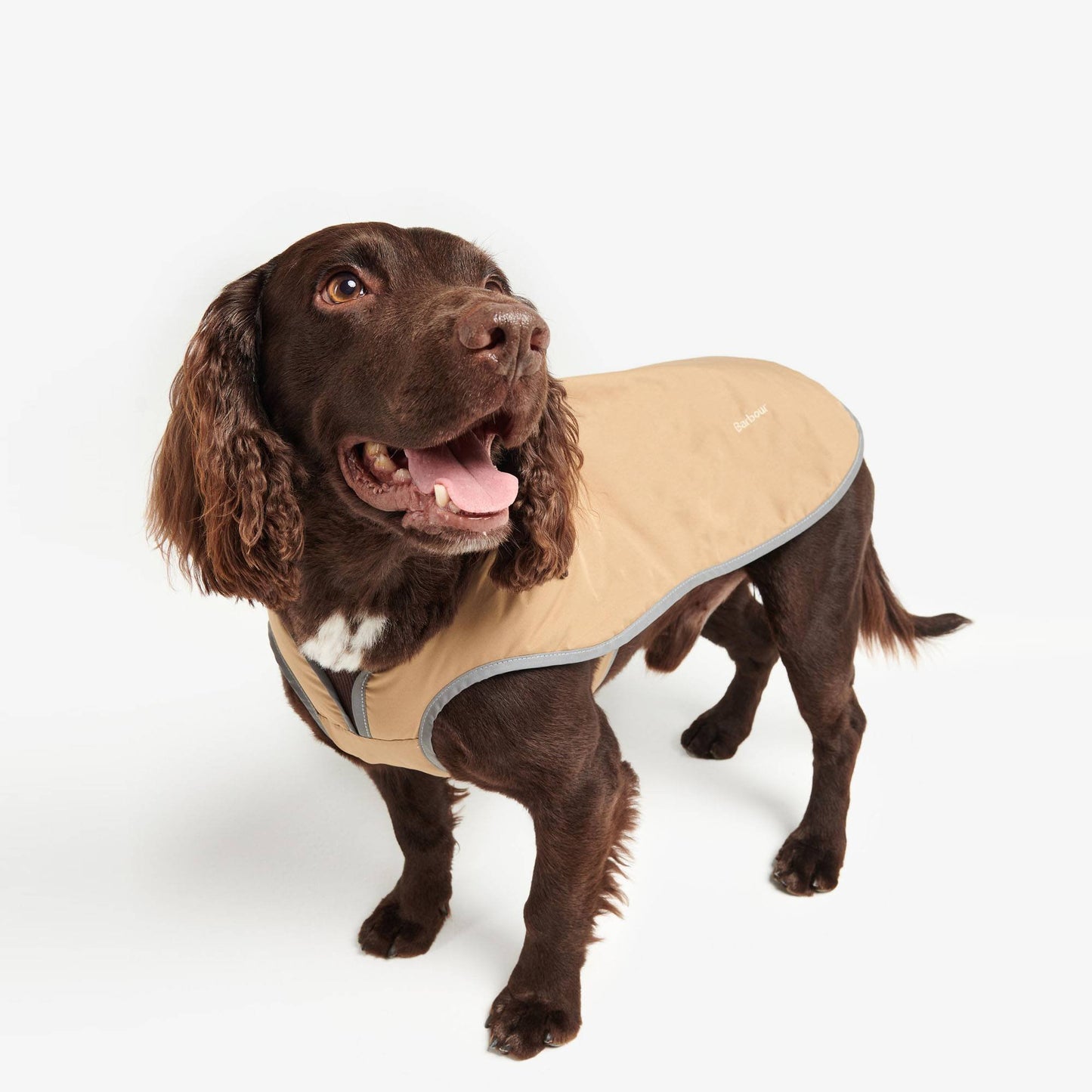 Monmouth Waterproof Dog Coat