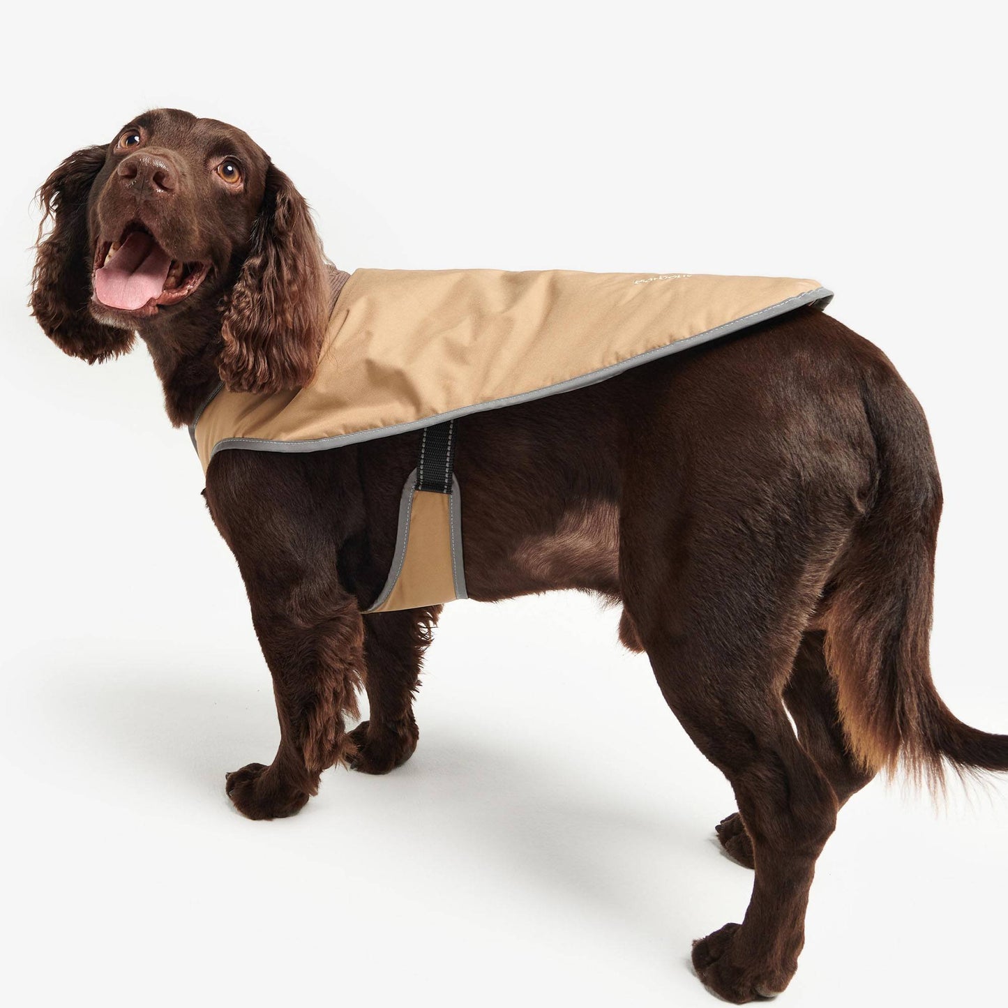 Monmouth Waterproof Dog Coat
