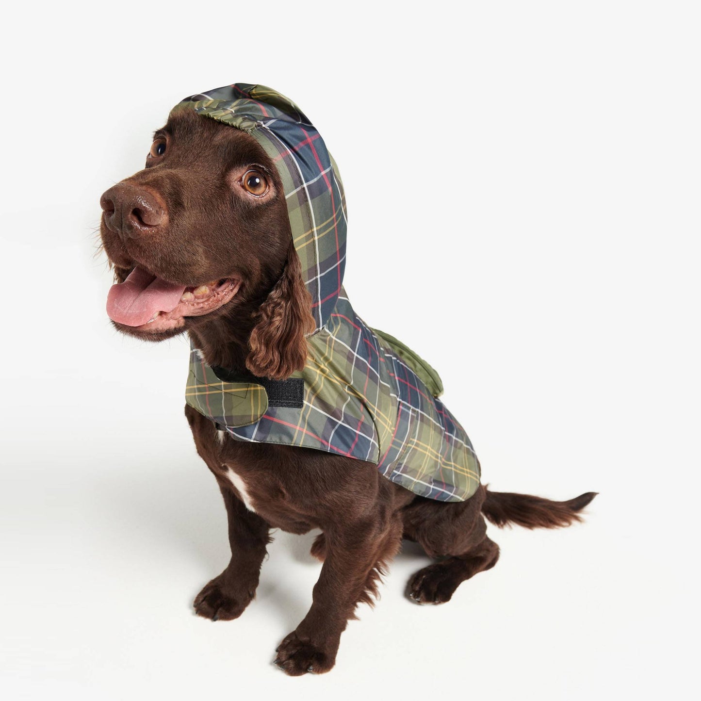 Packable Tartan Dog Coat