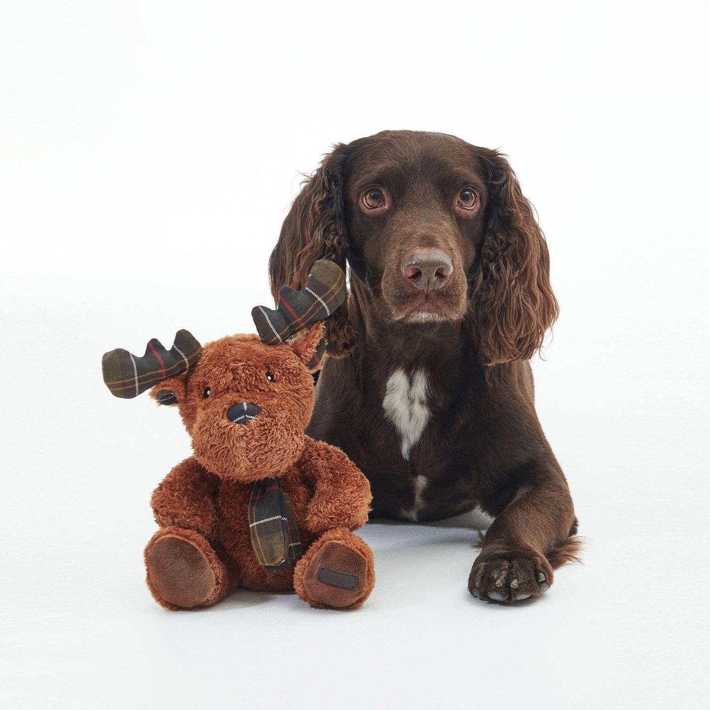 Reindeer Dog Toy Brown