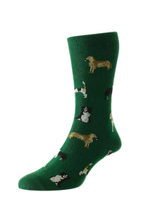 Country Dogs Sock