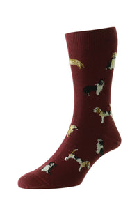 Country Dogs Sock