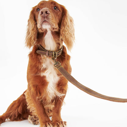 Leather Dog Lead