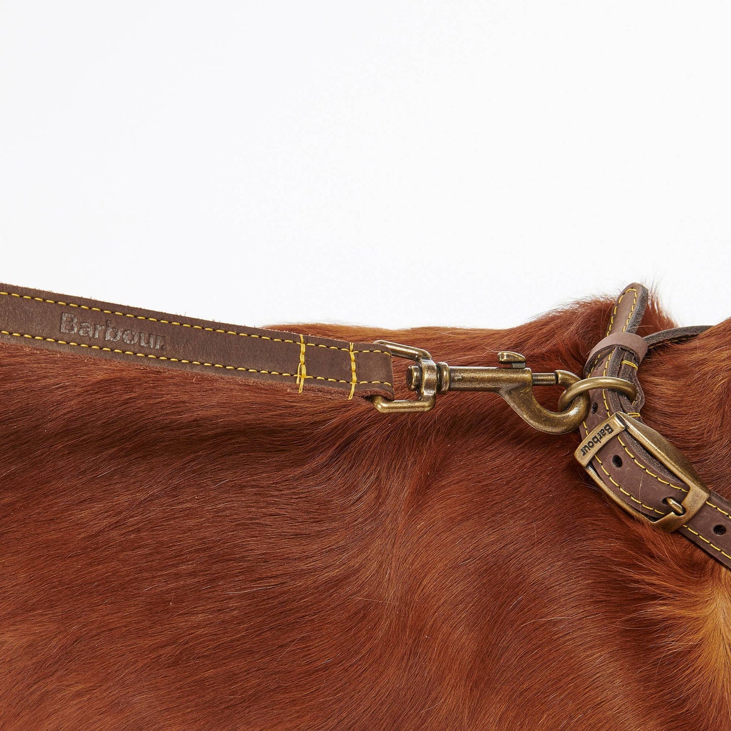 Leather Dog Lead