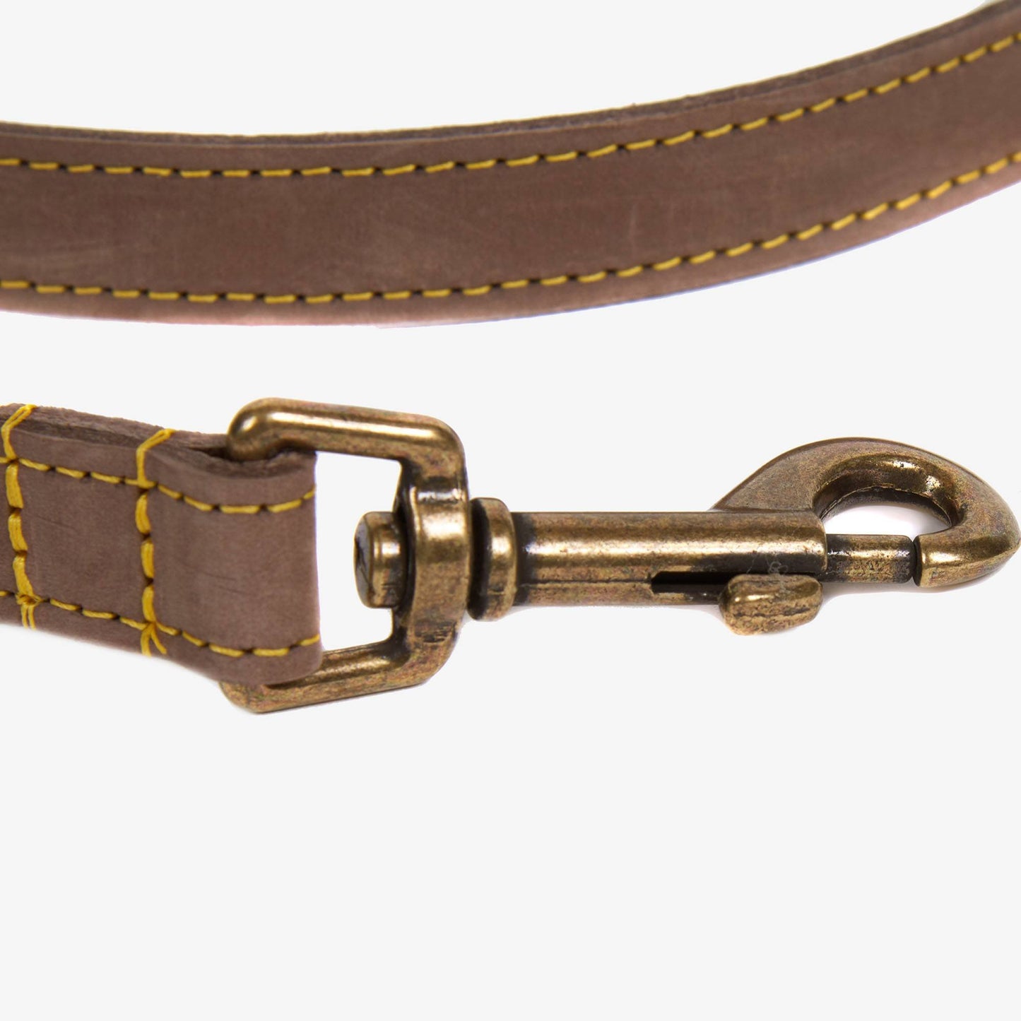 Leather Dog Lead
