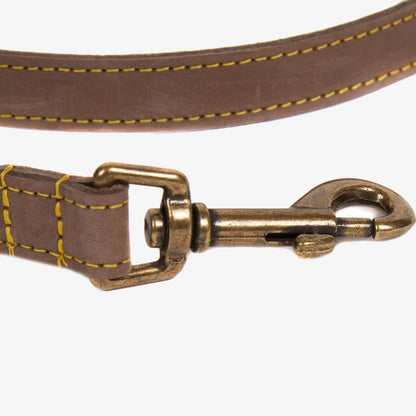 Leather Dog Lead