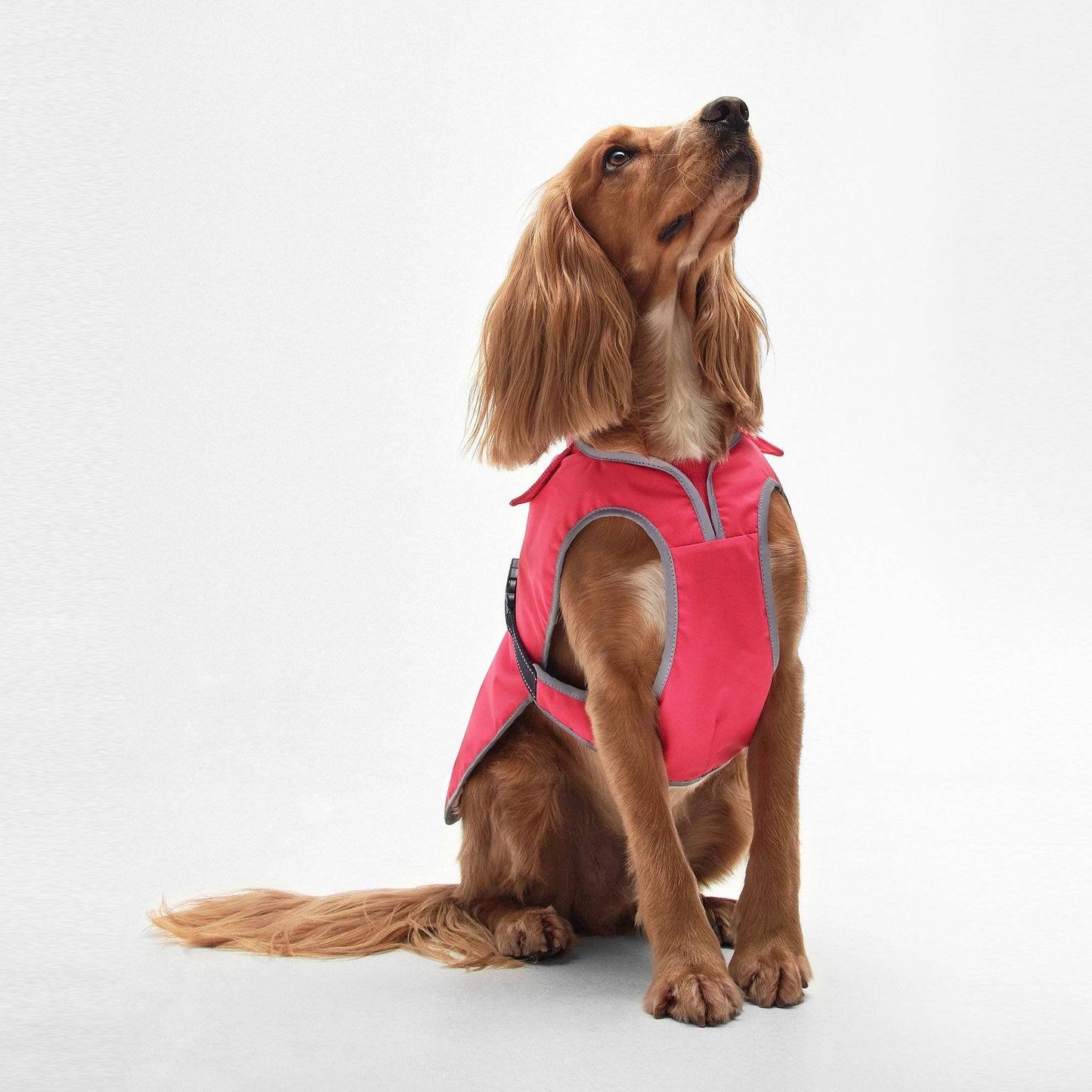 Monmouth Waterproof Dog Coat