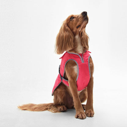 Monmouth Waterproof Dog Coat