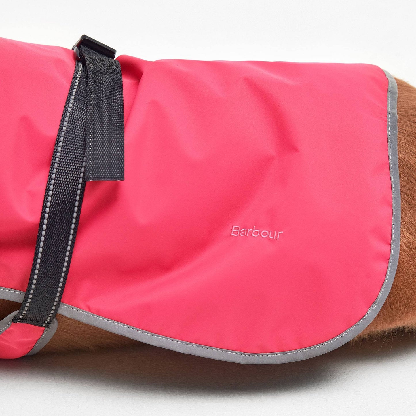 Monmouth Waterproof Dog Coat