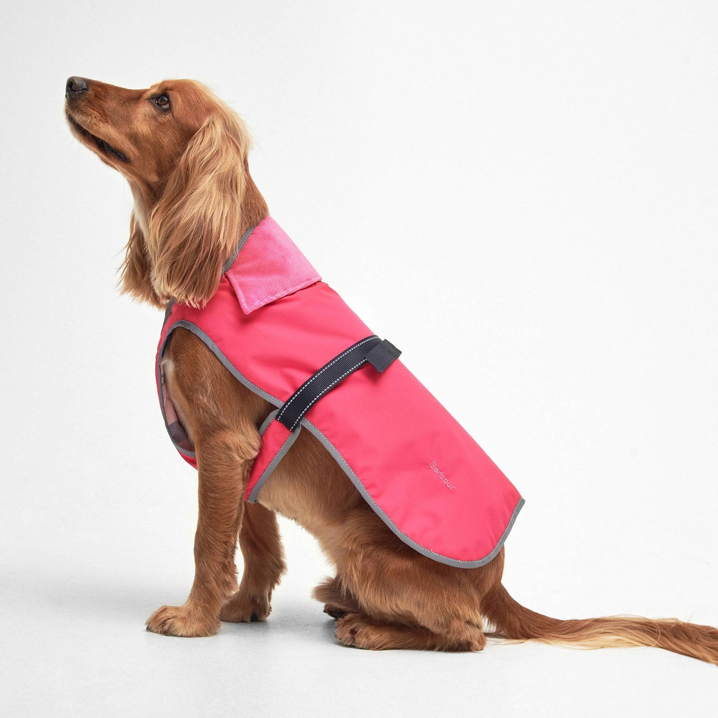 Monmouth Waterproof Dog Coat