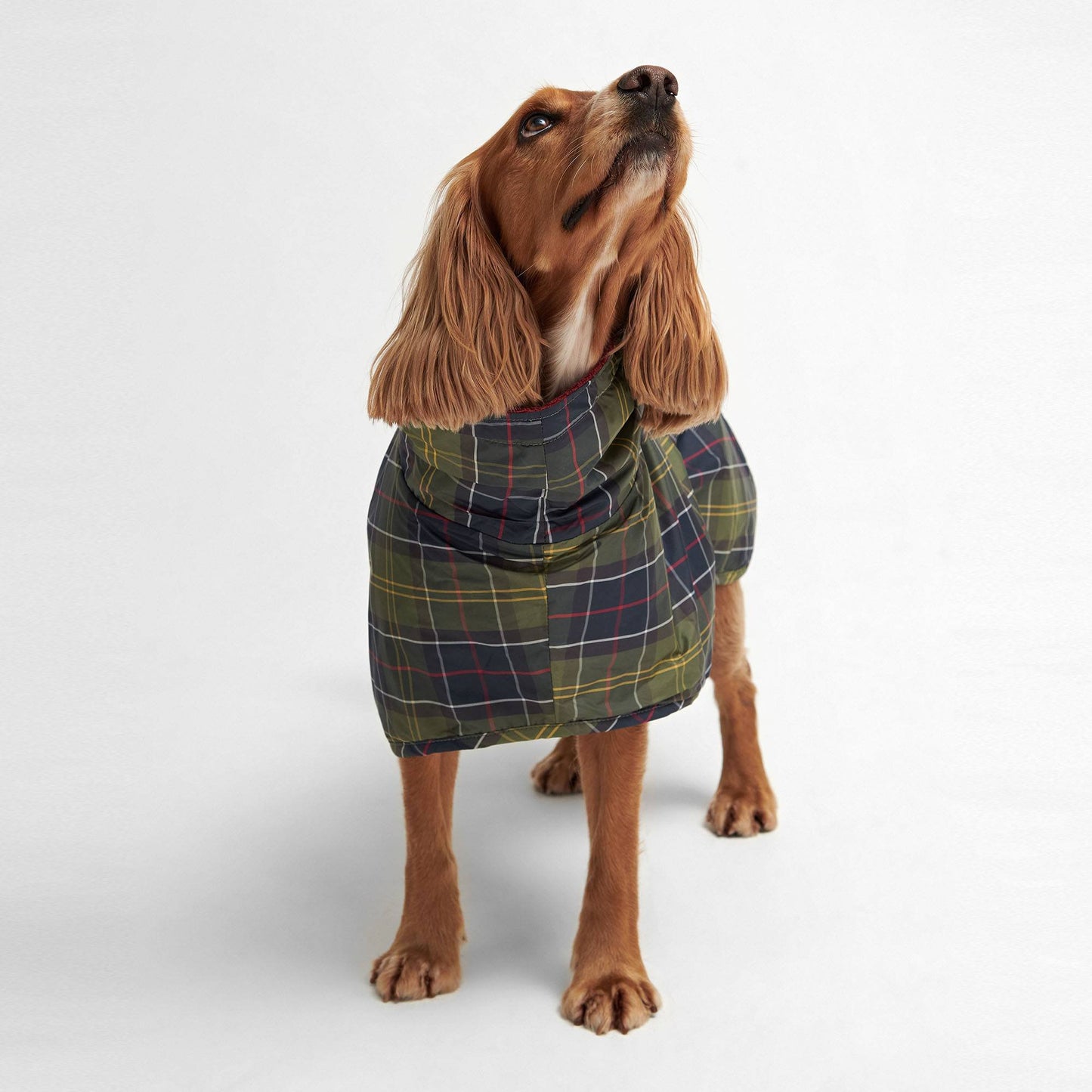 Tartan Dog Drying Robe