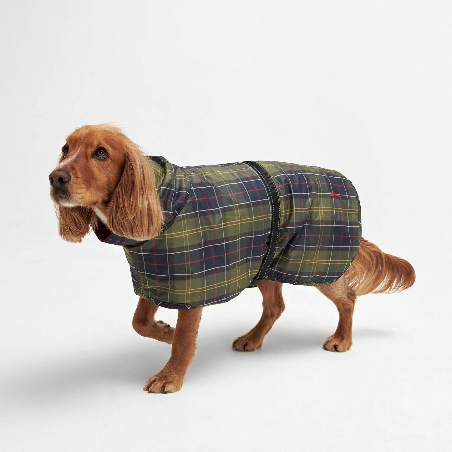 Tartan Dog Drying Robe