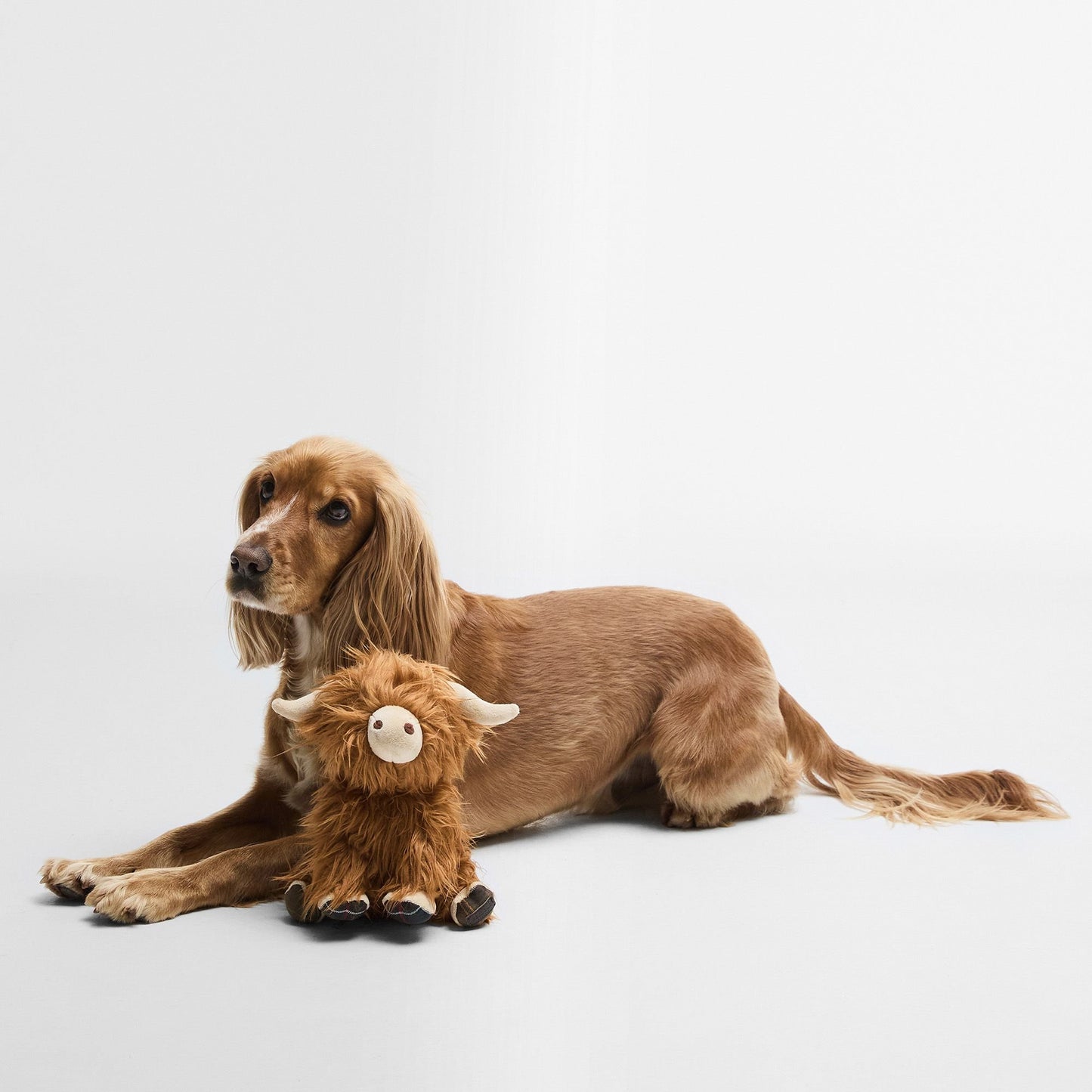 Dog Highland Cow Toy