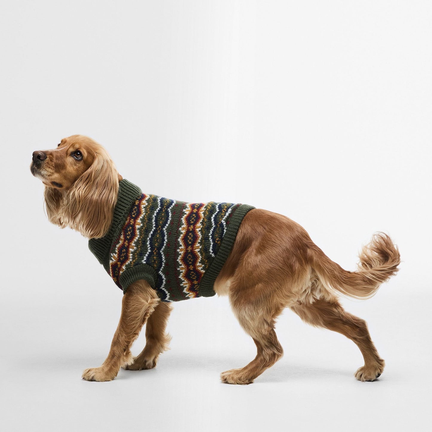 Case Fair Isle Dog Gift