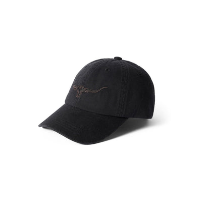 Longhorn Twill Cap