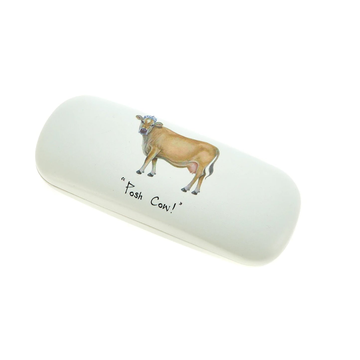 Glasses Case