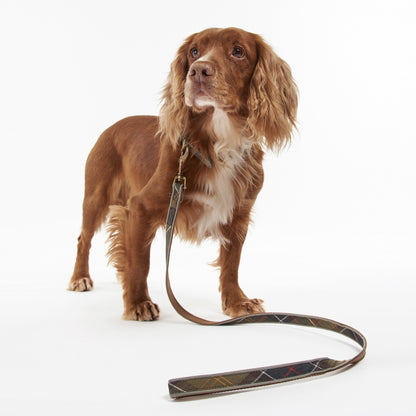 Reflective Tartan Dog Lead
