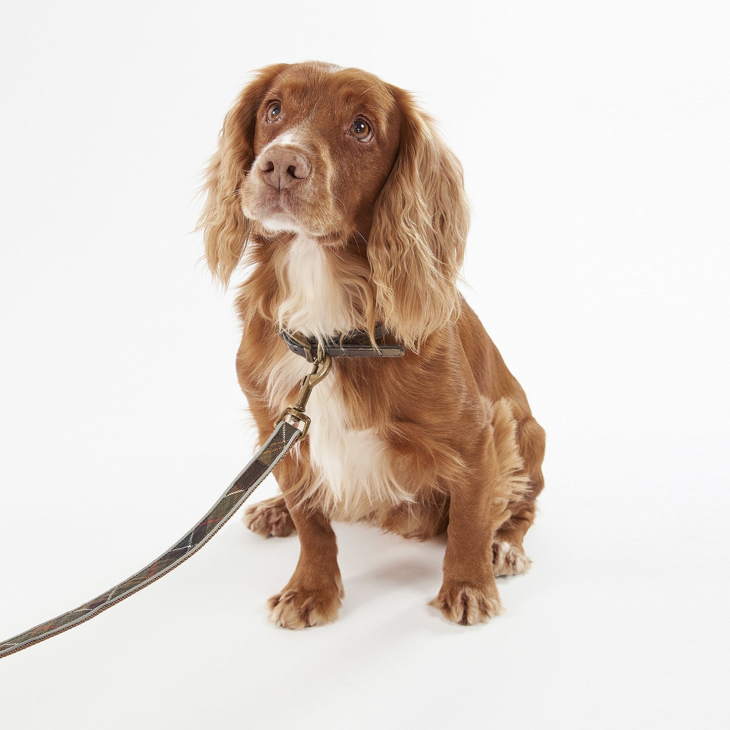Reflective Tartan Dog Lead