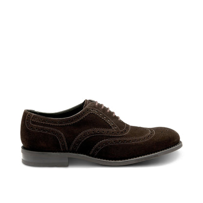 Kerridge Suede Oxford Brogue Shoe