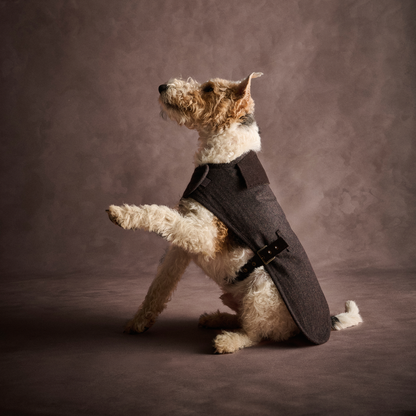 Barlow Tweed Dog Coat