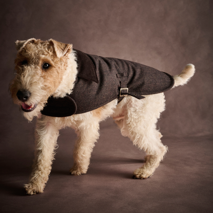 Barlow Tweed Dog Coat