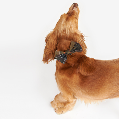 Tartan Dog Bow Tie