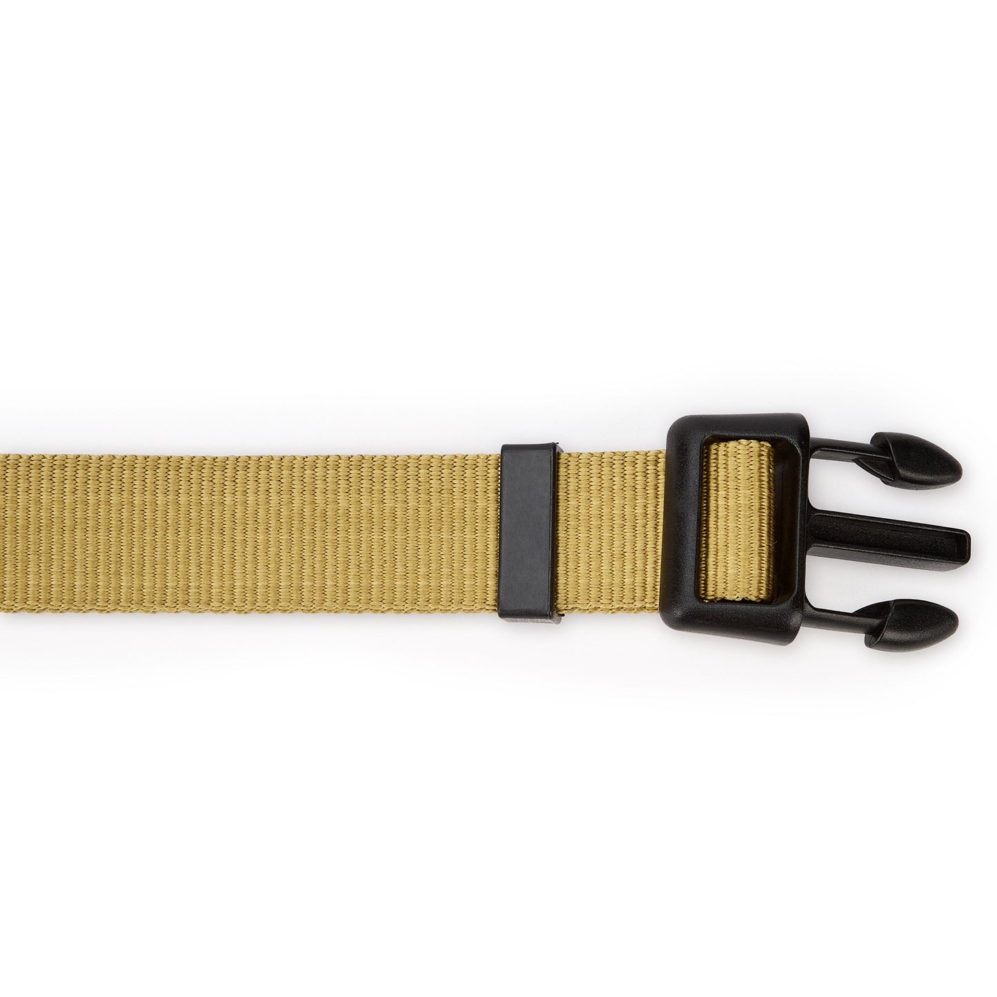 Apollo Nylon Dog Collar