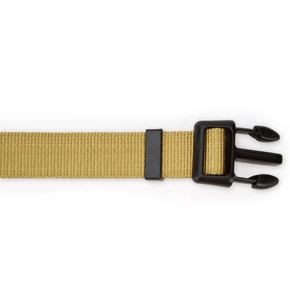 Apollo Nylon Dog Collar