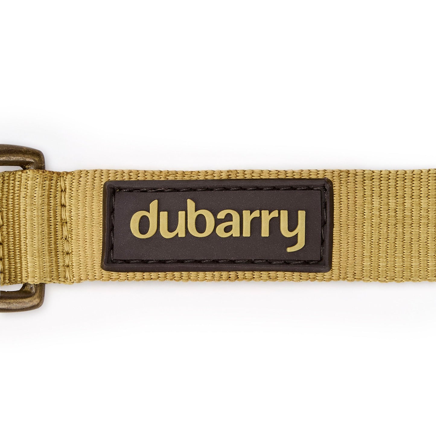 Apollo Nylon Dog Collar